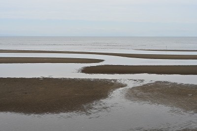退潮时海边的博多