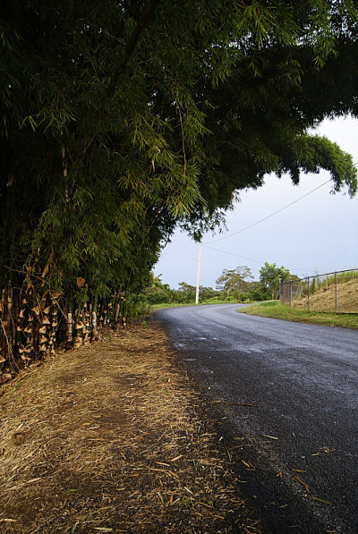 竹路2号