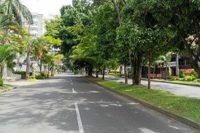 城市绿地廊道景观。