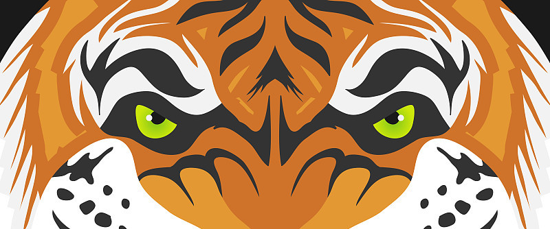 Tiger eyes, realistic tiger eyes. Cartoon face of 