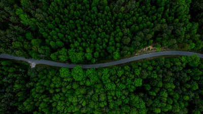 弯曲的道路砍槽森林。无人机俯视图