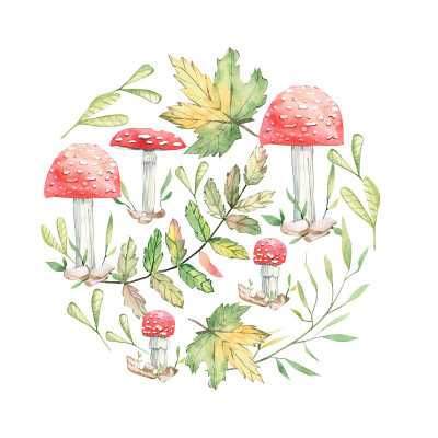 水彩落卡与树叶，树枝和蘑菇孤立在白色的背景。秋花组成的贺卡，婚礼贺卡。