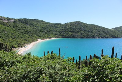 Beach炉