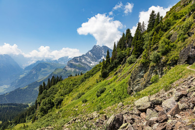 瑞士阿尔卑斯山的典型景观，草地，树木，石头和山脉