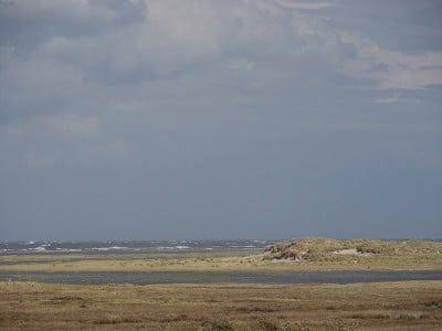 insel