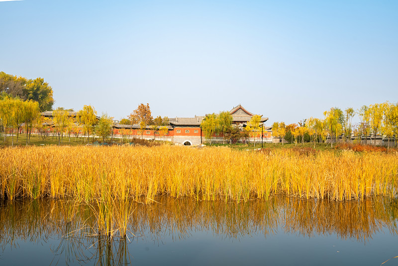 秋天，公园里有中国古建筑的阁楼和银杏树