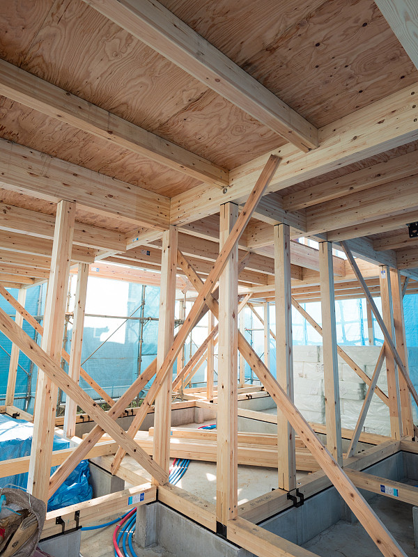 正在建造的木屋