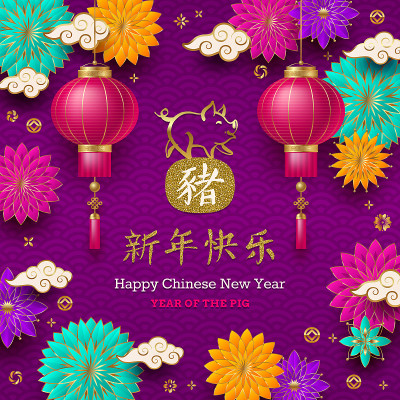 Happy Chinese 2019 new Year. Vector illustration.