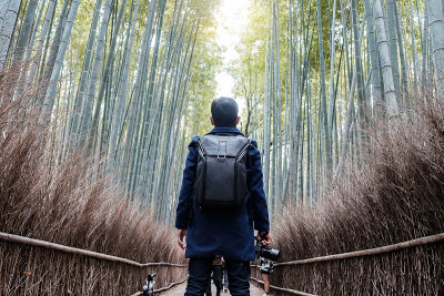 在岚山竹林旅游的年轻人，快乐的亚洲旅行者看着佐野竹林。是日本京都的地标和旅游景点。亚洲旅游的概念