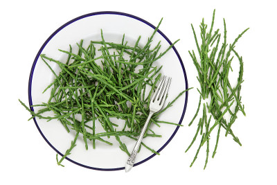 海蓬蔬菜保健食品