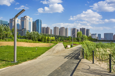 城市绿化