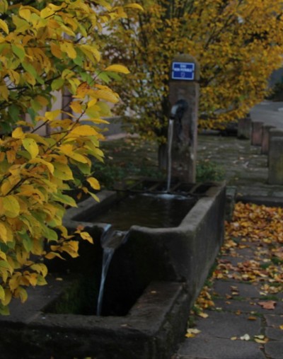 Kintzheim