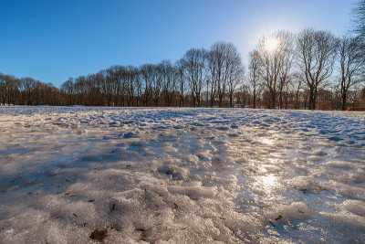 奥斯陆冬季景观Vigeland雕塑公园有雪和干树