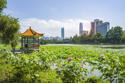 深圳洪湖公园，城市天际线景观与美丽的湖和中国馆。