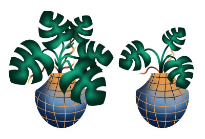 两株白色植物