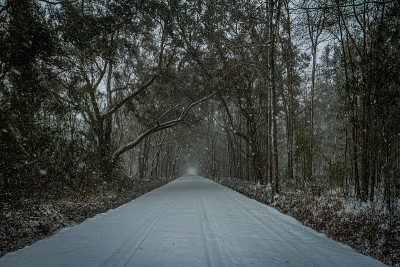 1月下雪天