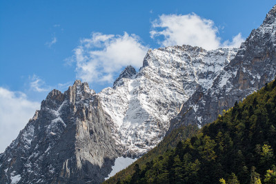 山上有雪和松林