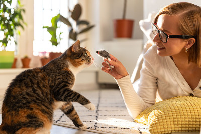 女自由职业者躺在客厅的地毯上，在自我隔离期间玩猫和玩具老鼠。喜欢宠物