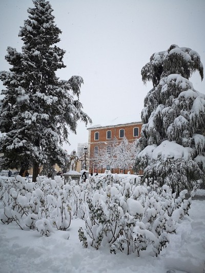 雪在Alcalá de Henares大学广场