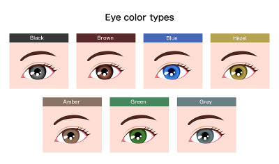 人类瞳孔眼球变化/眼睛颜色类型插图