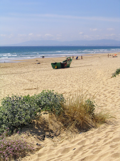 Costa da Caparica海滩上的渔船(葡萄牙)