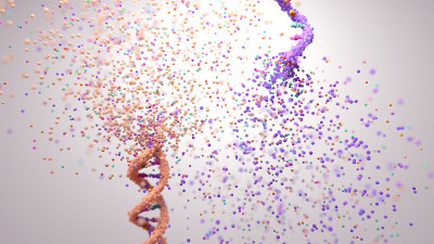 DNA和RNA的螺旋。对DNA和RNA分子结构差异的说明。