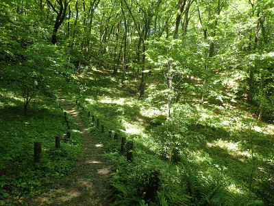 Noyamakita-Rokudoyama公园- Musashimurayama,东京
