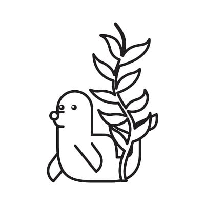 可爱的海豹孤立图标