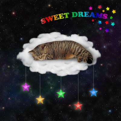 猫睡在云床上