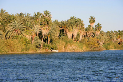 Laguna (lagoon) de San Ignacio, San Ignacio, Baja 