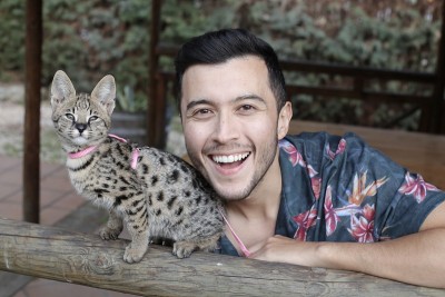男人与婴儿几猫