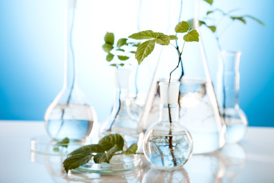 实验室植物学