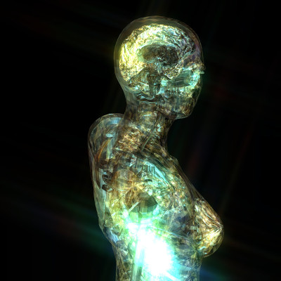 人体解剖学的3D插图