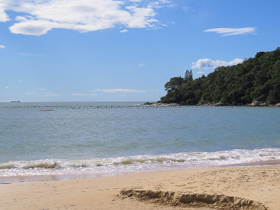 夏日阳光明媚的海滩上，海浪不断