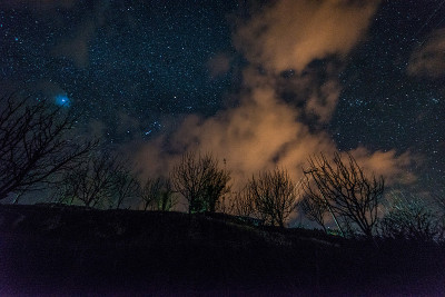 令人惊叹的喜马拉雅山的夜空和树木