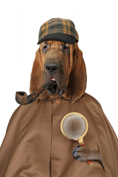 带着放大镜和烟斗的侦探犬