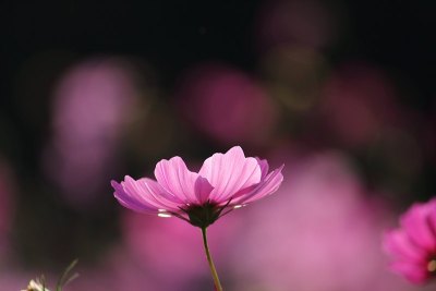 宇宙(种类:感觉)第56部分