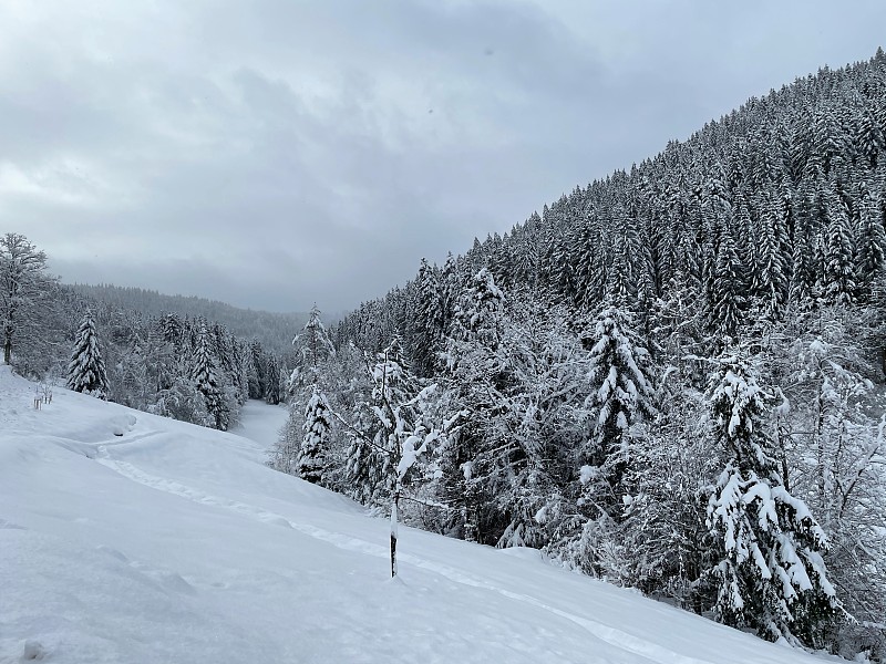 白雪皑皑的冬日，拜尔斯波隆附近的桑肯巴赫山谷