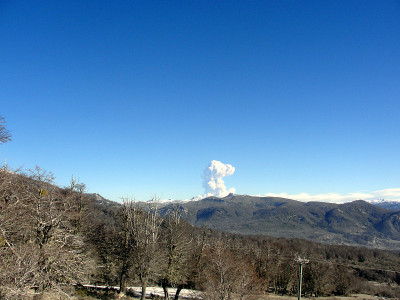 Chapelco山上的本地树木