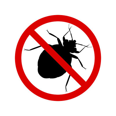 Bug警告标志，矢量图标，平面设计。拦虫，黑色轮廓，孤立在白色背景上