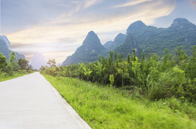 森林的小路