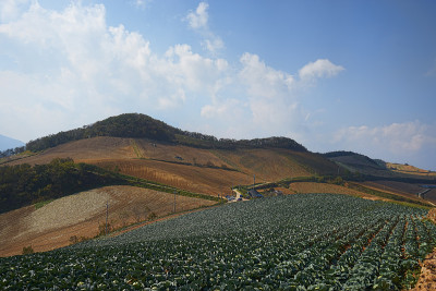 景观