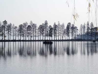 湖和树