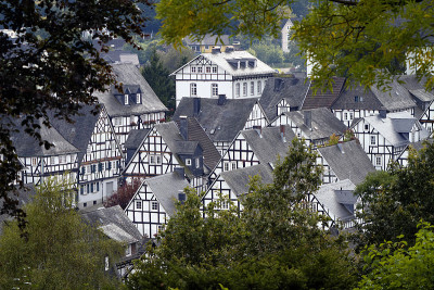 德国(Freudenberg)