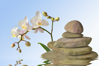 金字塔和兰花