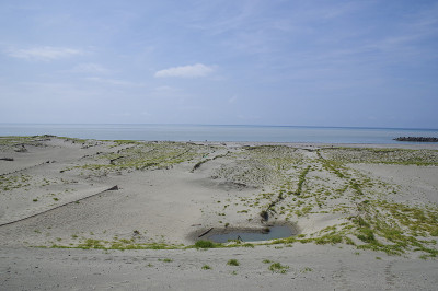 沙丘