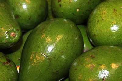 Avacado佛罗里达