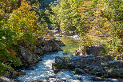 三叶峡秋叶景色在阳光明媚的日子里观赏