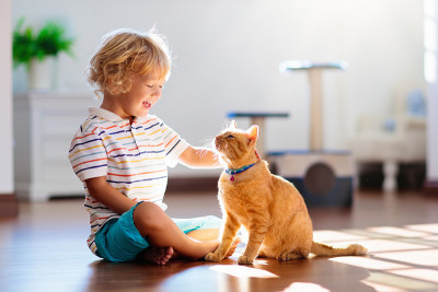 孩子在家里和猫玩。孩子和宠物。