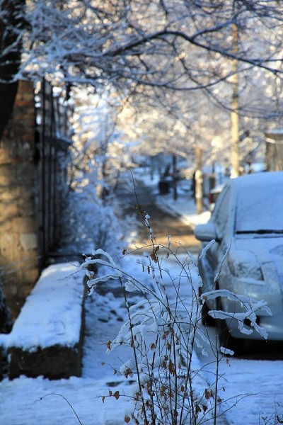 神奇的雪